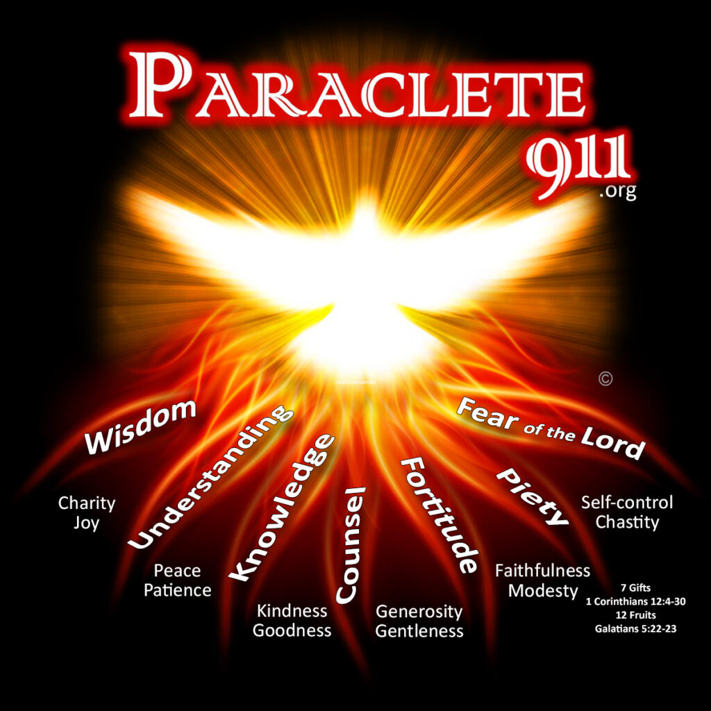 Main Logo for Paraclete911